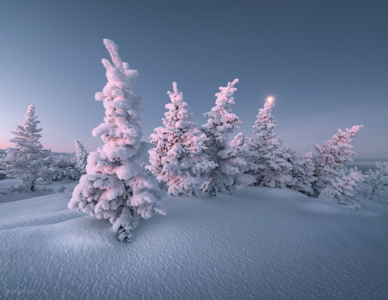 зюраткуль, южный урал, горы, снег, елки, рассвет В очереди за рассветомphoto preview