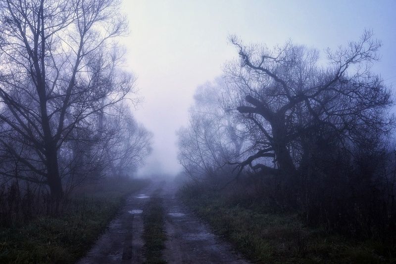 Глубины осениphoto preview