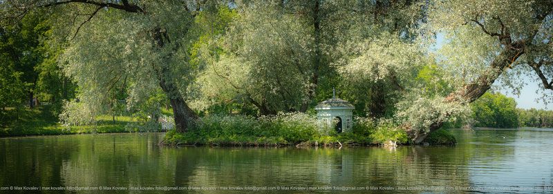 Europe, Gatchina, Leningrad region, Russia, animal, architecture, bird, building, house, island, nature, park, plant, pond, schwan, summer, swan, tree, water, willow, Гатчина, Дворцовый парк в Гатчине, Европа, Ленинградская область, Россия, архитектура, в Лебяжий домик на Лебяжьем островеphoto preview