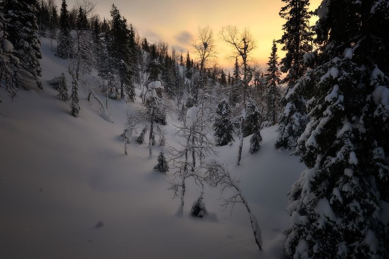 Хибиныphoto preview