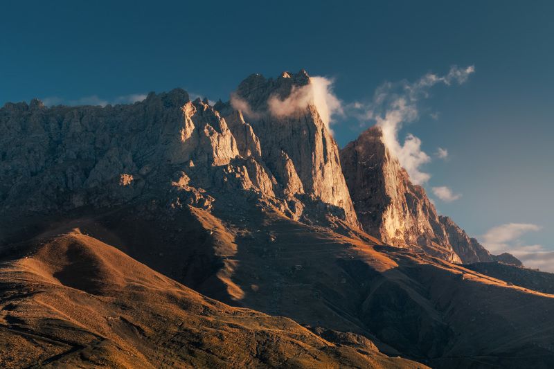 Цей - Лоам фото превью
