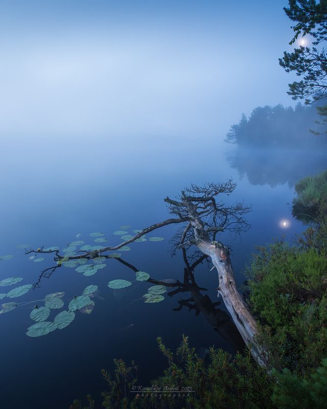... синий туман ...photo preview