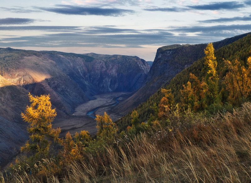 алтай, республика алтай, чулышман Долина Чулышманаphoto preview