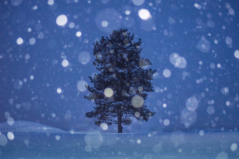 пейзаж, природа, зима, снег, снегопад, республика коми photo preview