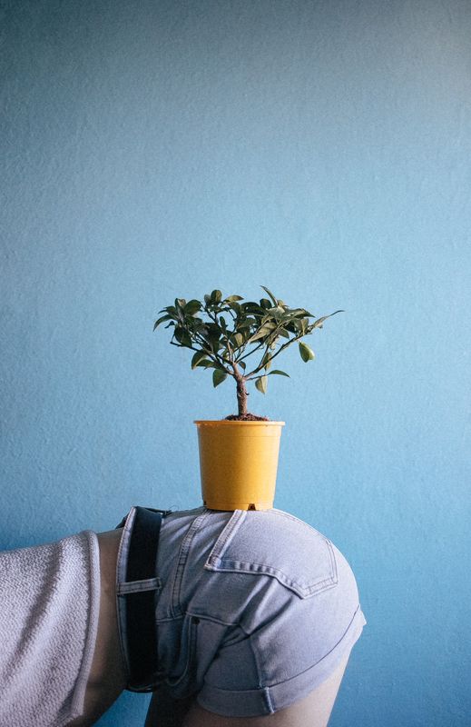 фотосессия, фотограф, модель, цветы, лимон, красивое фото, фотограф в Минске, Дмитрий Гусалов Оригинальная подставкаphoto preview