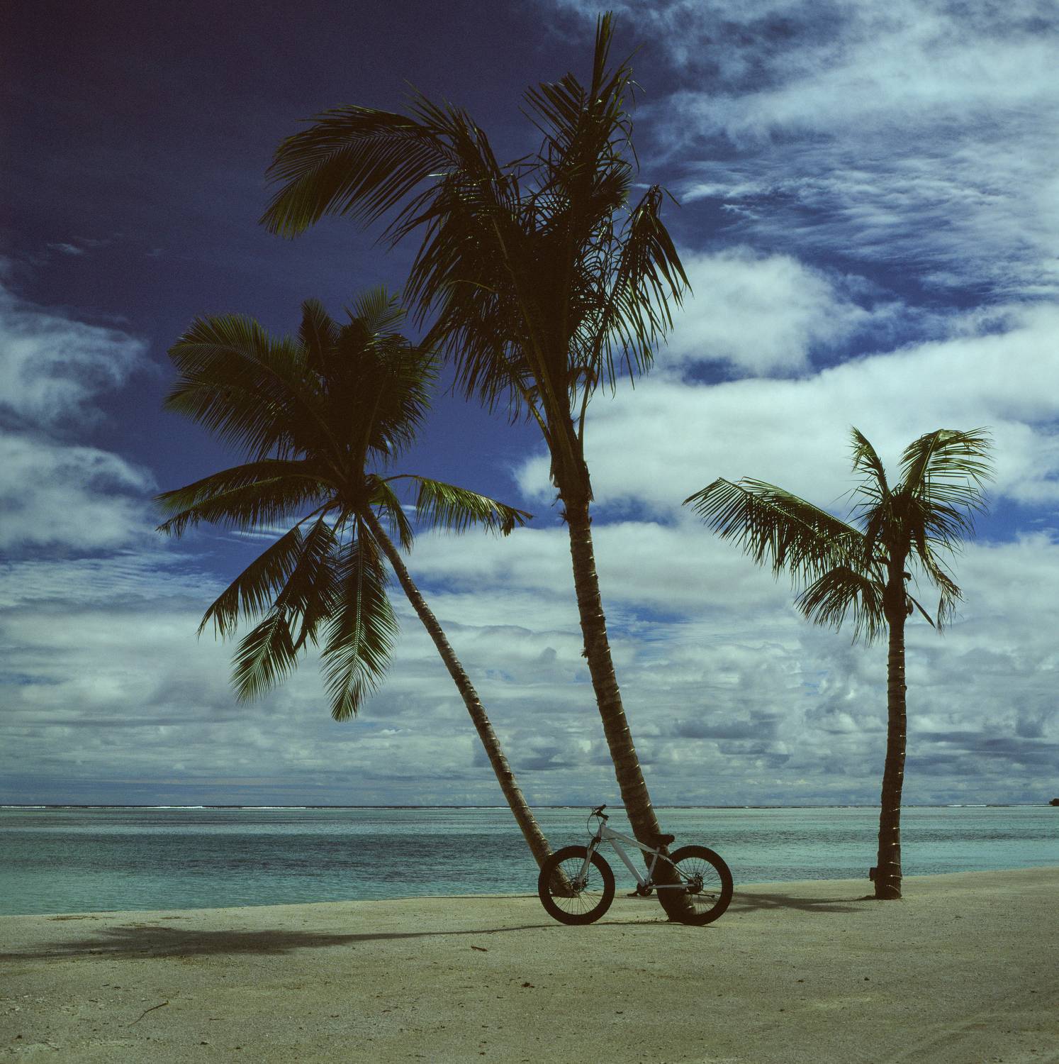 film, analog, analog photo, film photography, пленка, плёночная фотография, medium format, 120mm, 120 film, 6x6, средний формат, bronica, bronica sq-a, Zenzanon, Zenzanon80mm, Fujifilm, Fujichrome, Velvia, Velvia 50, Fujichrome Velvia 50, Fujifilm Velvia , Попов Алексей