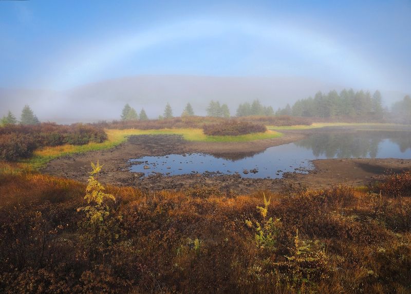 Туманным утром у озераphoto preview