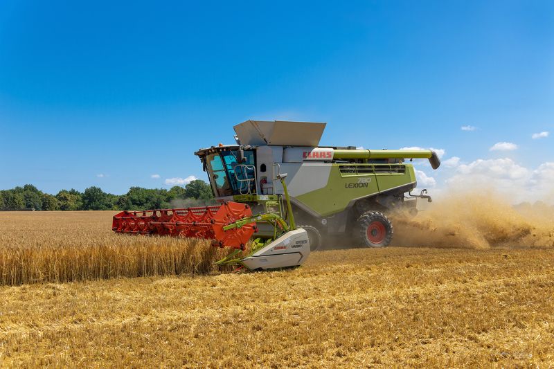 жатва, урожай, поле, комбаин, Россия, Калининградская область, фотография, Свирин Вадим, пшеница, лето, harvest, harvest, field, combine, Russia, Kaliningrad region, photography, Vadim Svirin, wheat, summer Жатва.photo preview