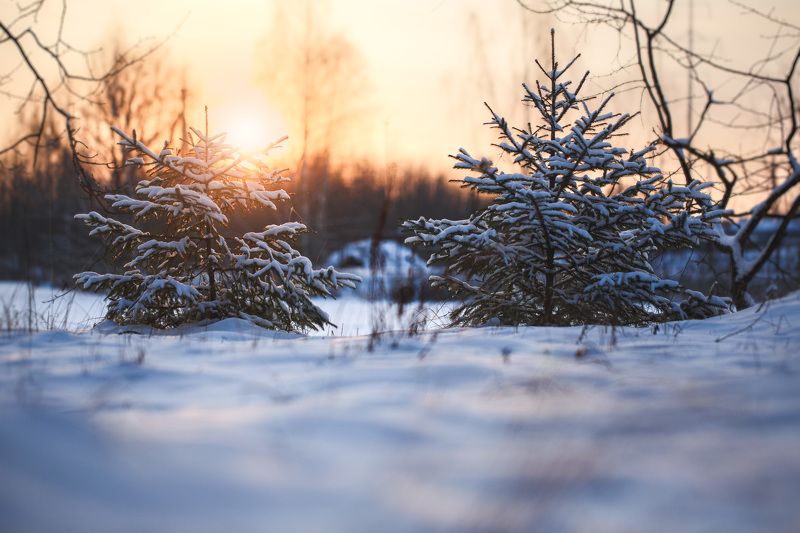 Вечереет...photo preview