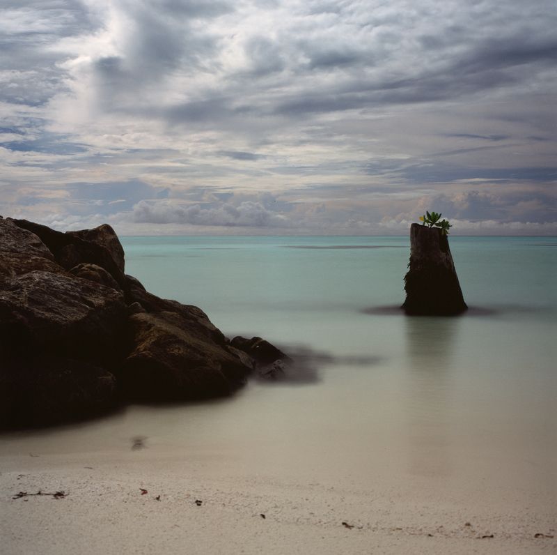 film, analog, analog photo, film photography, пленка, плёночная фотография, medium format, 120mm, 120 film, 6x6, средний формат, bronica, bronica sq-a, Zenzanon, Zenzanon80mm, Fujifilm, Fujichrome, Velvia, Velvia 100, Fujichrome Velvia 100, Fujifilm Velvi photo preview