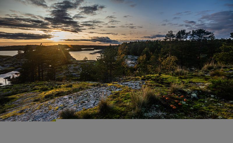 Ладожские шхеры, грибы, Карелия, Ладога, осень Грибочкиphoto preview