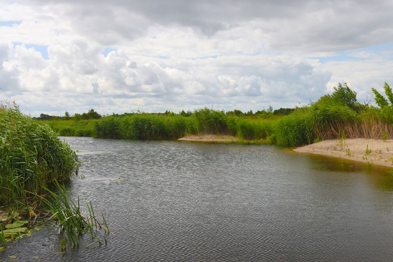 река, лето, пейзаж, небо, вода, Мамоново, Россия, Калининградская область, фотография, природа, river, summer, landscape, sky, water, Mamonovo, Russia, Kaliningrad region, photography, nature Мамоновка.photo preview