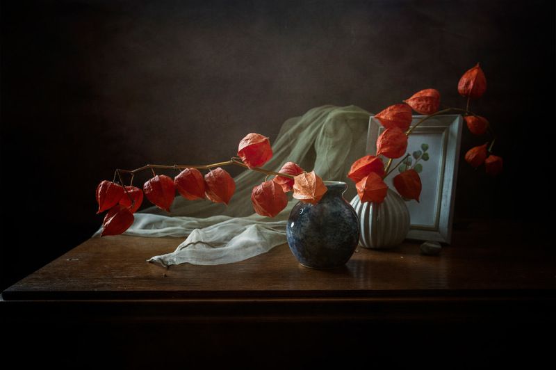 С физалисомphoto preview