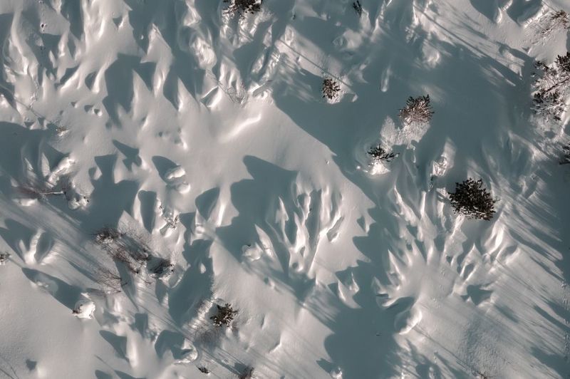 перевал. стланик, уналейский,  бурятия, пыхта, зима, снег, красота, природа, пейзаж, россия, улан-удэ Дремлющая красота фото превью