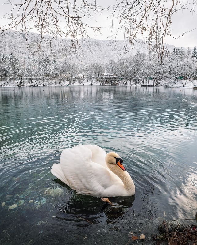 кавказ, кабардино-балкария, горы,  озеро, горное озеро, зима, лебеди Зимой на Голубых озерахphoto preview