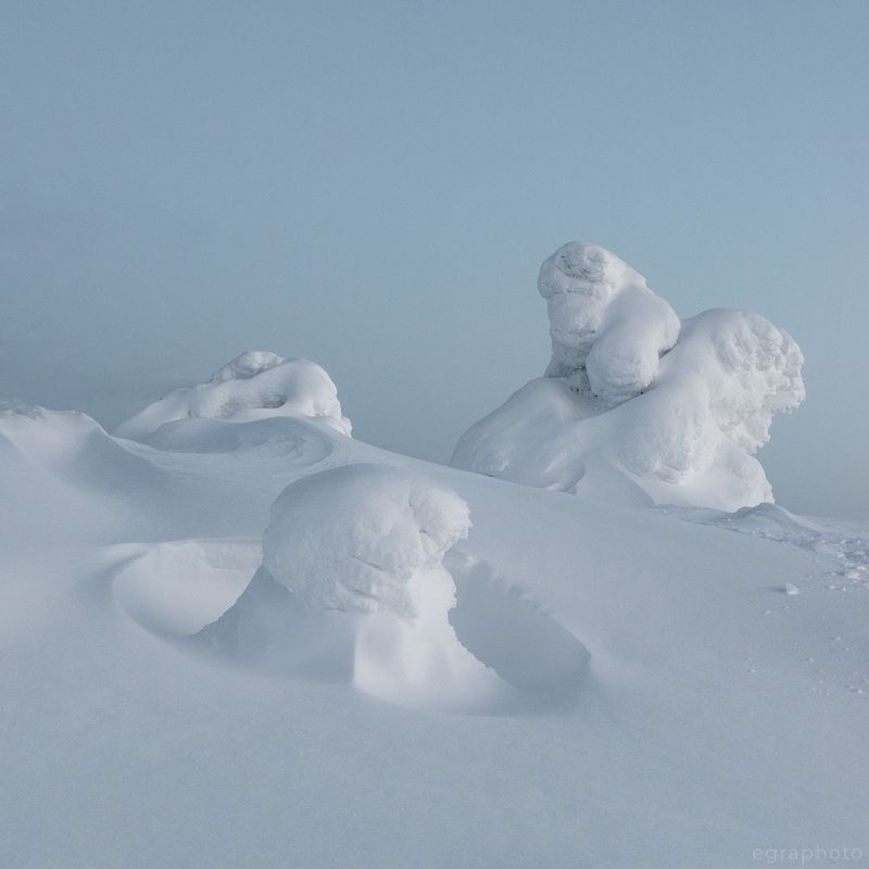 гора, сопка, волосяная, волостная, кольский полуостров, мурманская область Жители горы Волосянаяphoto preview