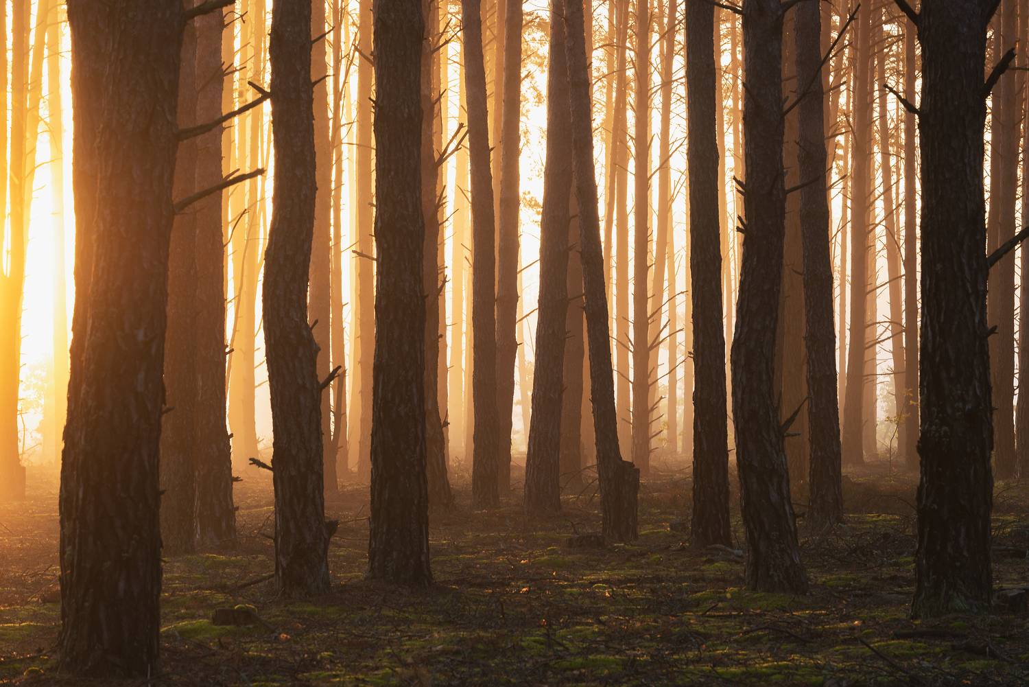 , Захаров Дмитрий