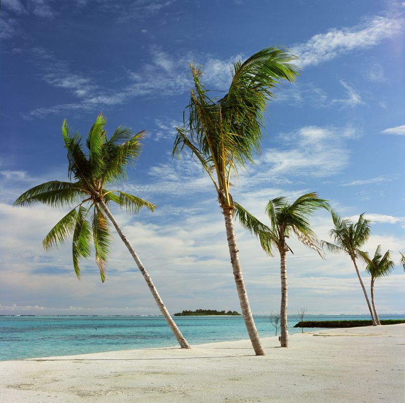 film, analog, analog photo, film photography, пленка, плёночная фотография, medium format, 120mm, 120 film, 6x6, средний формат, bronica, bronica sq-a, Zenzanon, Zenzanon80mm, Fujifilm, Fujichrome, Velvia, Velvia 100, Fujichrome Velvia 100, Fujifilm Velvi photo preview