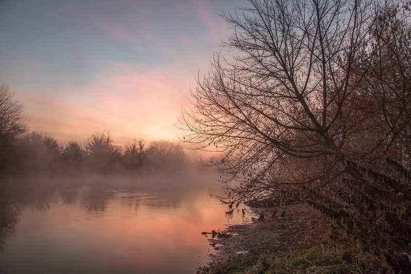 Утро у реки. Ноябрьphoto preview