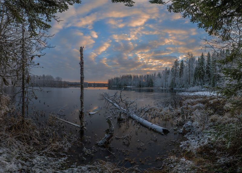 Первый снег, Рассвет, Утро photo preview