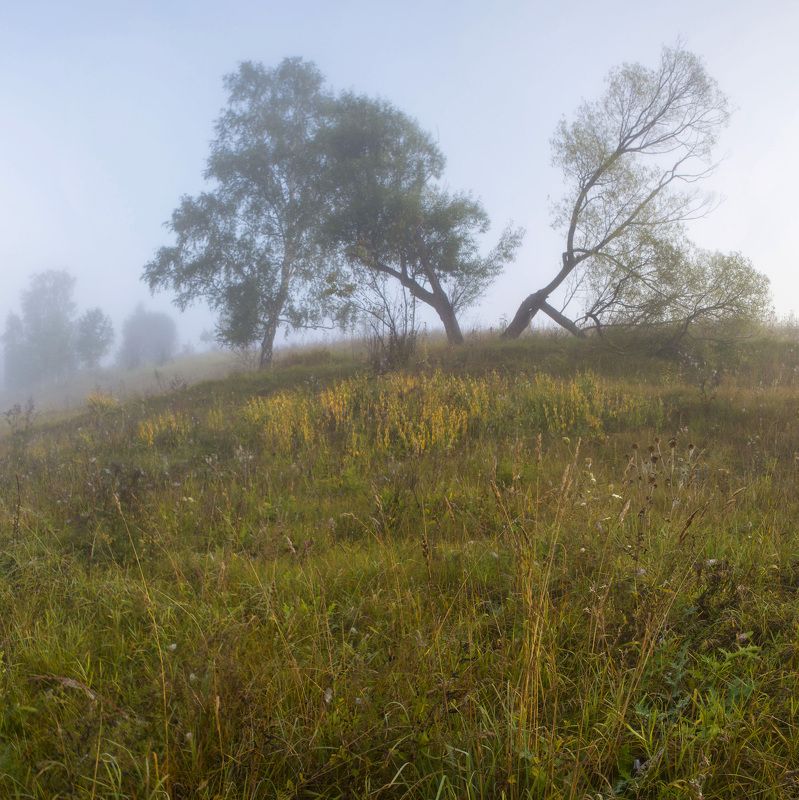 Утро на реке Океphoto preview