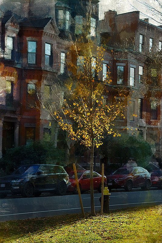 ***  Краски осеннего Бостонаphoto preview