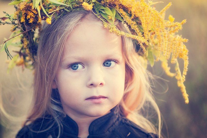 Упала осень на поля...photo preview