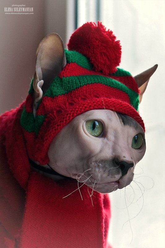 К зиме готов!))photo preview