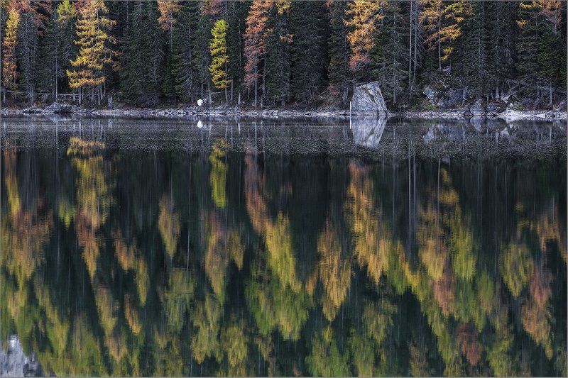 Отражениеphoto preview