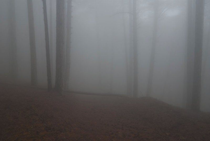 Да я и не собирался... :) photo preview