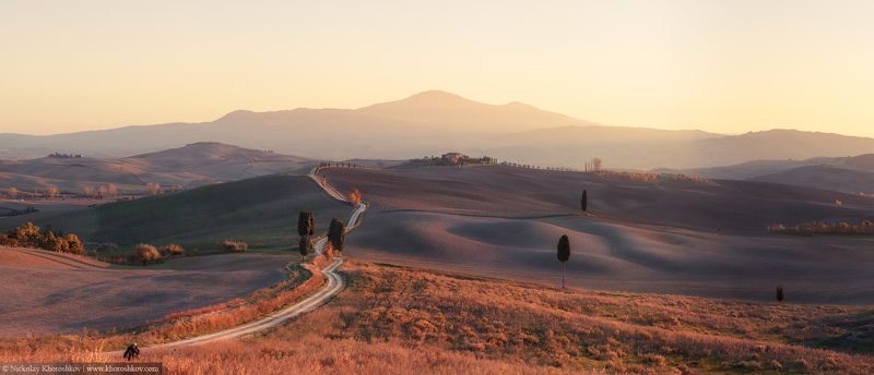 Countryside, Italy, Landscape, Panorama, Sunset, Tuscany, Италия, Панорама, Пейзаж, Тоскана Залитые солнцем поляphoto preview