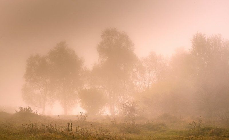 Туманны бывают, закаты в Мезмаеphoto preview