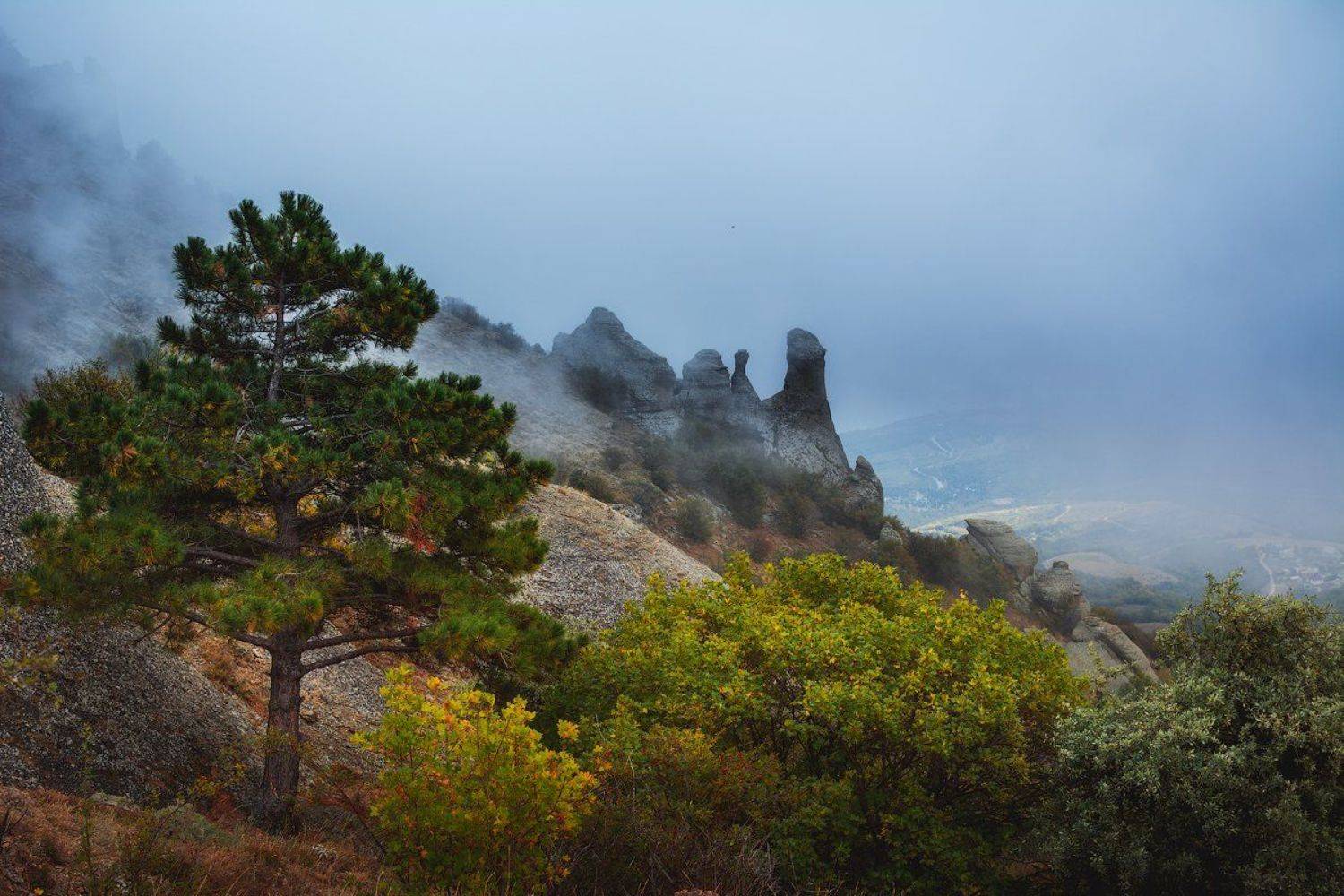 ***. Автор: Сорокин Олег демерджи, крым, Сорокин Олег