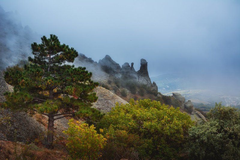 демерджи, крым ***photo preview