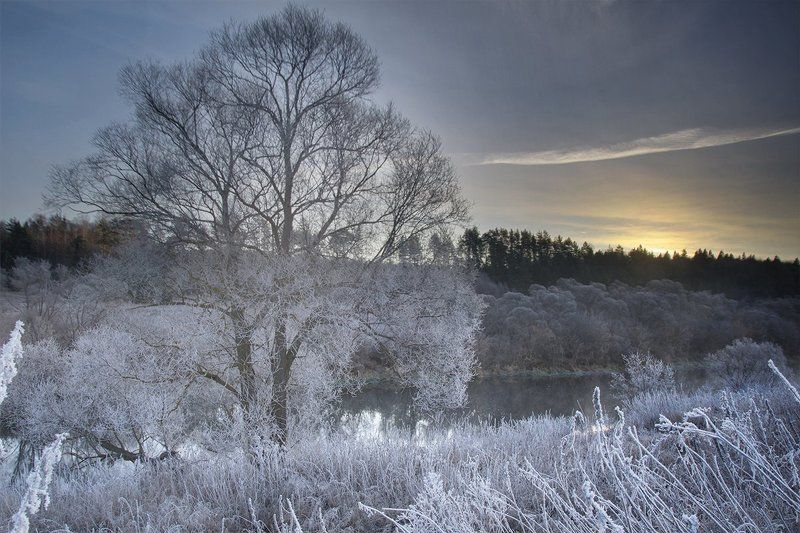 Иней, Ноябрь, Ока, Осень, Рассвет, Река, Тульская область, Туман, Утро Солнце взойдет фото превью