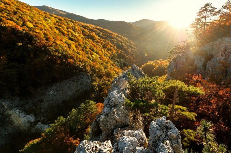 осень, горы, лес, солнце, пейзаж, landscape,wood, nature, autumn, Crimea Крымский каньонphoto preview