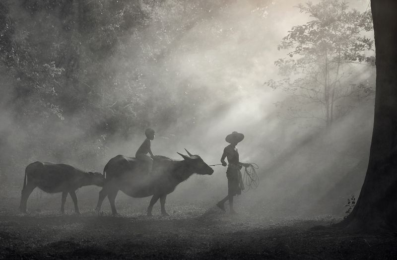 Go home Go homephoto preview