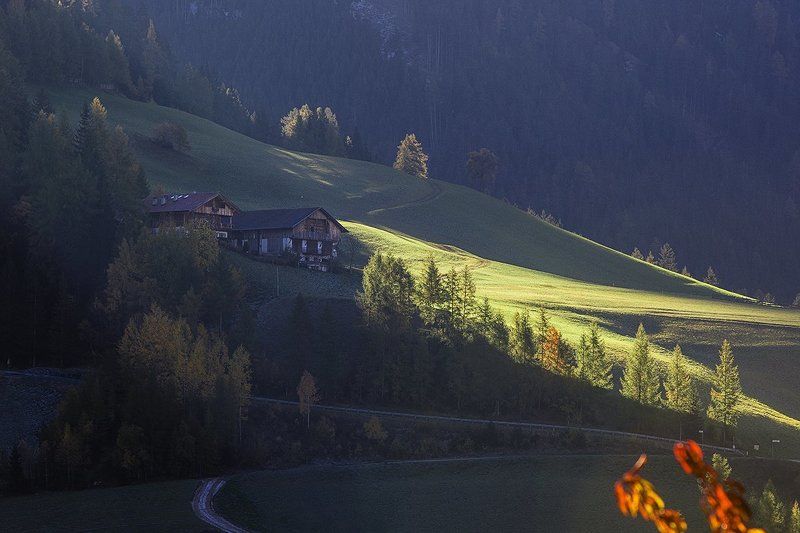 В первых лучахphoto preview