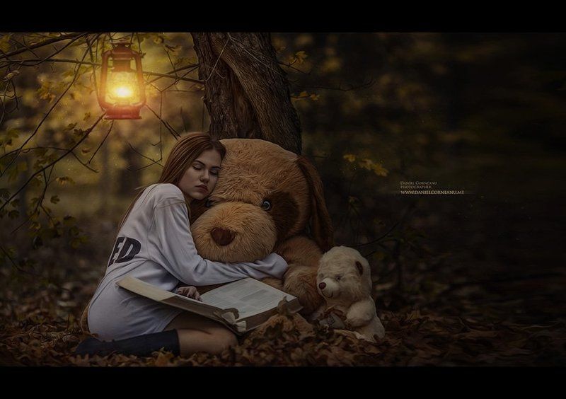 The story 2photo preview