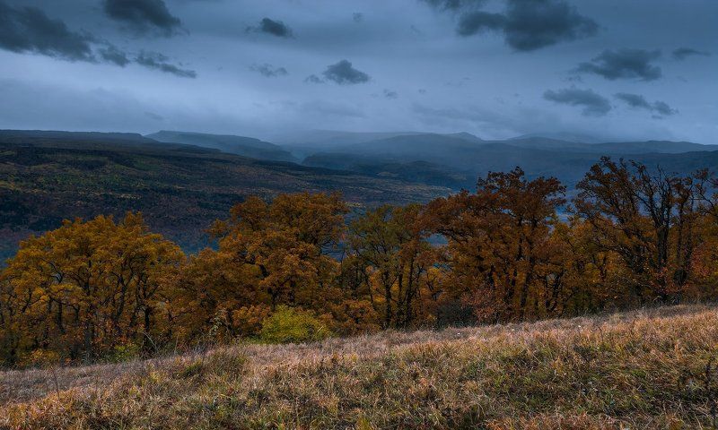 Лес, Мезмай, Осень, Природа Осень...photo preview