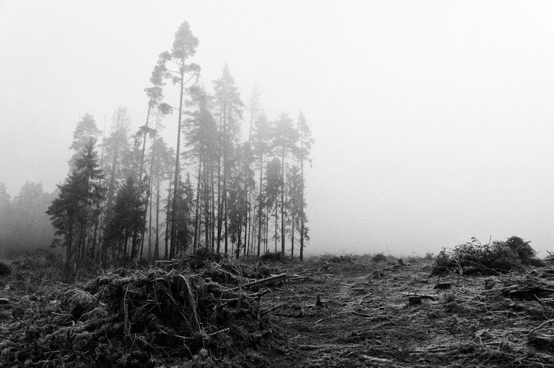 Стоять до последнего!photo preview