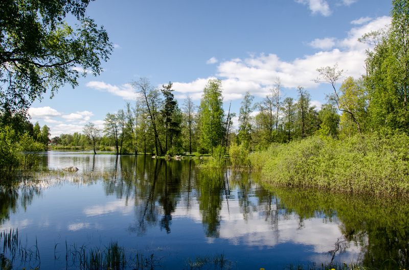 Уголок Валдаяphoto preview