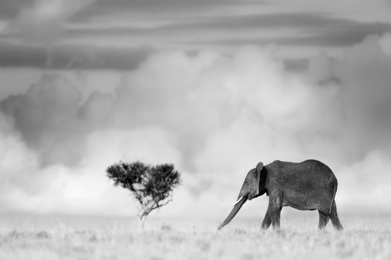 Solitudephoto preview