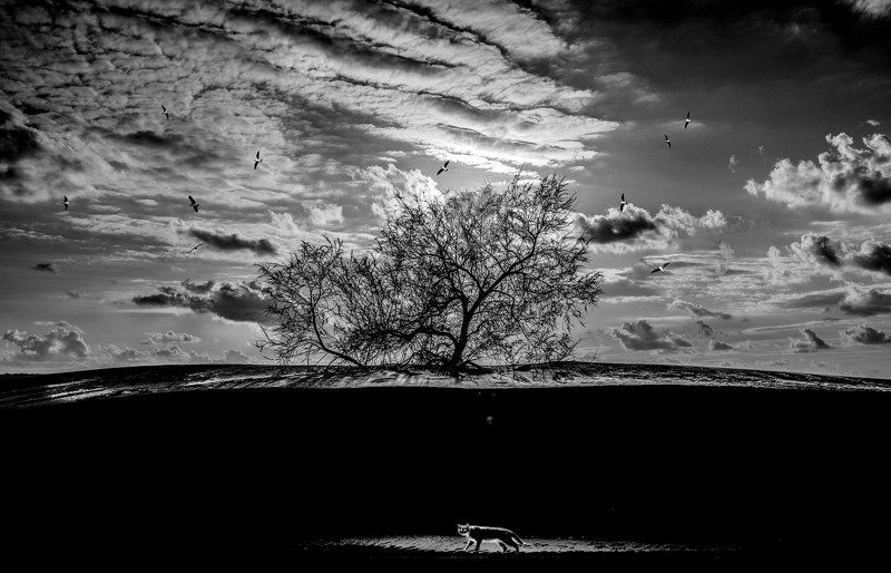 Тайнаphoto preview