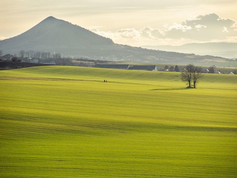 czechia,czech,central bohemian uplands,spring,green,people,perspective,story,negative space,rana Early spring in the Central Bohemian Uplandsphoto preview