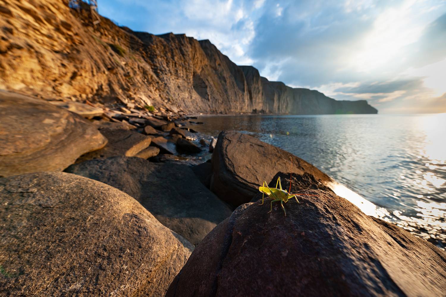 , Васильева Дарья