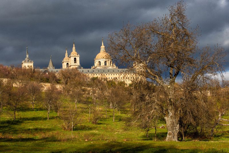 Кажется дождь собираетсяphoto preview