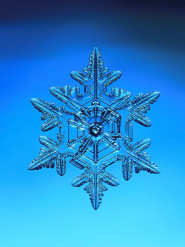 Холодная красотаphoto preview