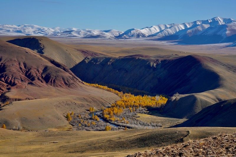 Кош-Агач Утро Октября photo preview