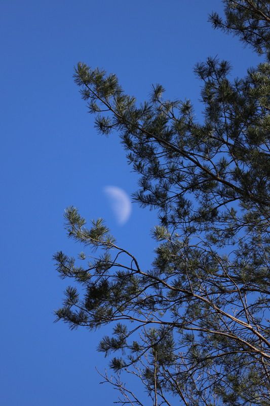 Зацепился месяц..photo preview